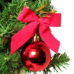 Enjoy Christmas Crystals