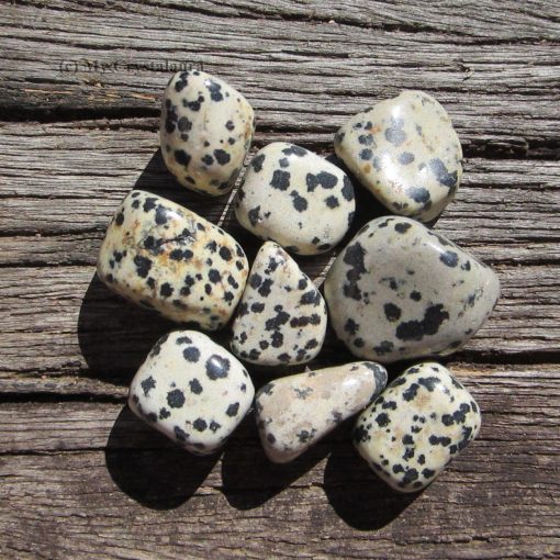 Dalmation Stone meaning