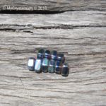 Rainbow Magnetic Hematite