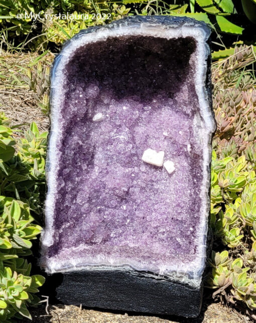 Amethyst Geode