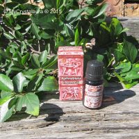 Aphrodisia Oil