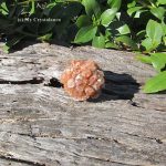 Aragonite Star Cluster