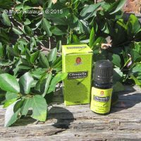 Citronella Oil