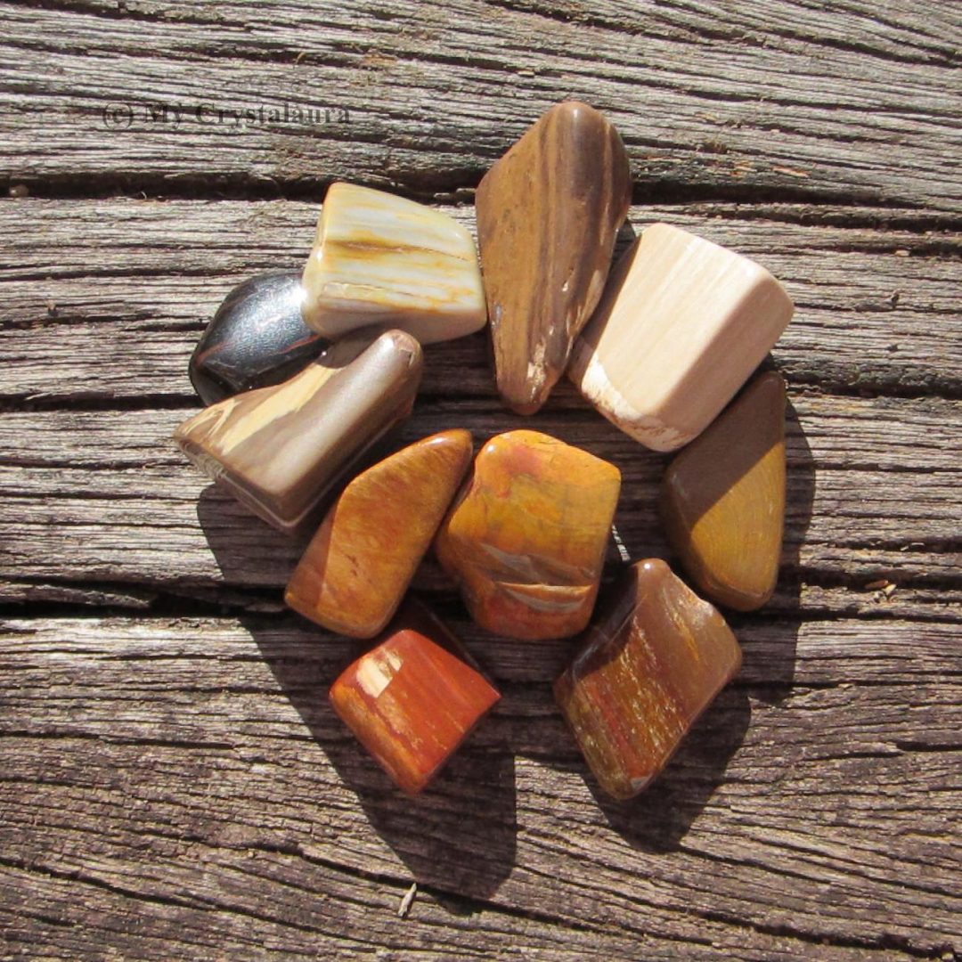 Petrified Wood Buy Crystals Online Healing Crystals My CrystalAura