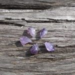 Small Amethyst Points