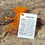 Study Kit