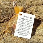 Success Kit