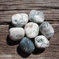 Tree Agate