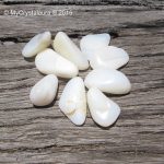 Opal - White Opal - Buy Crystals Online Healing Crystals White Opal
