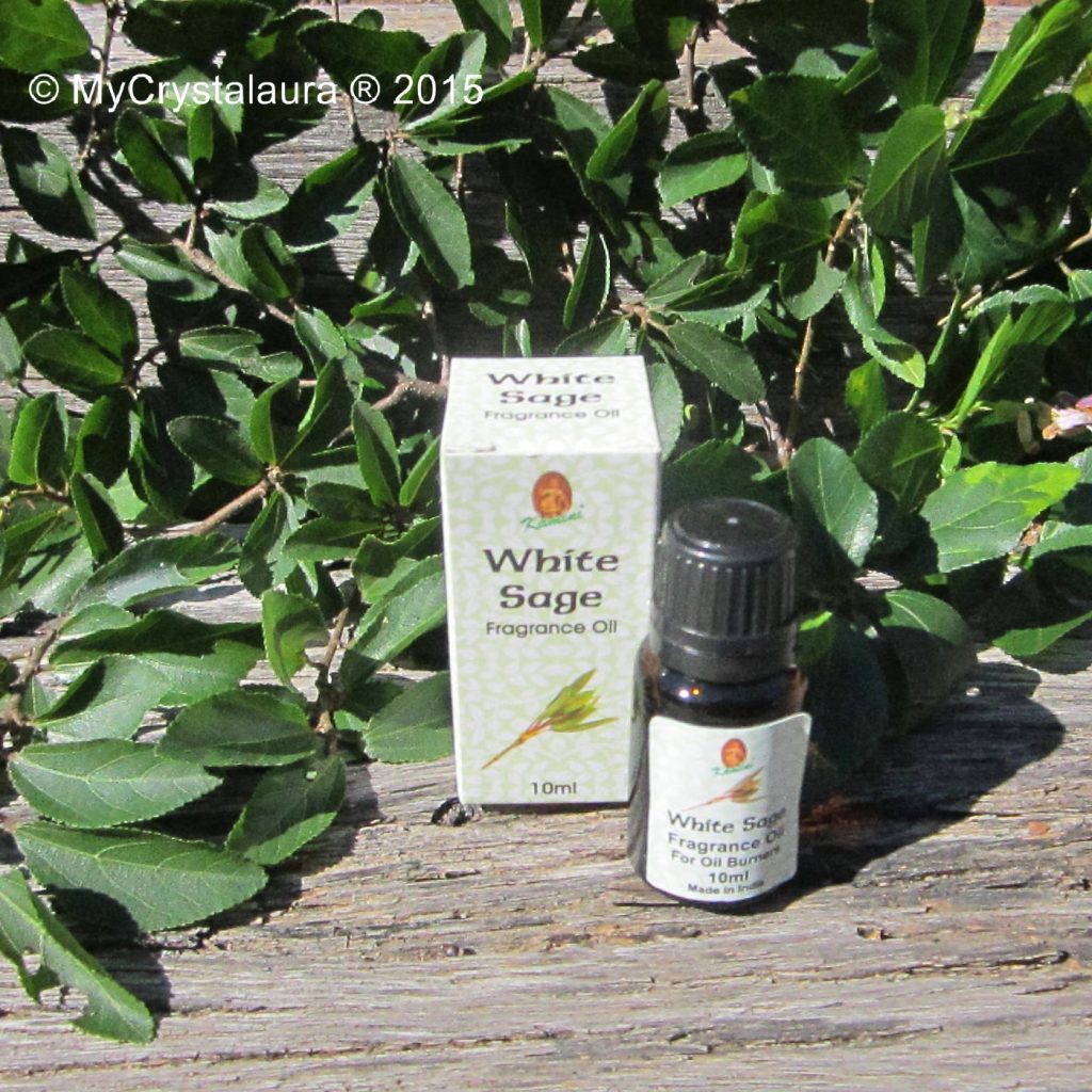 White Sage Oil Kamini Fragrance Oil Buy Online My CrystalAura