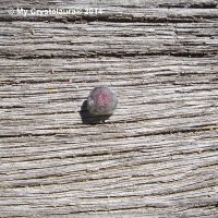 Watermelon Tourmaline