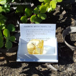 Are these Real Crystals