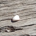 That Special Lucky Stone