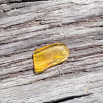 Amber crystals for winter