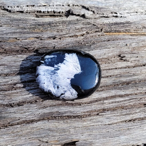 Chrysanthemum Stone.