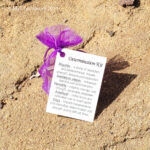 Determination Kit - Crystal Healing Kit - Crystals Online Determination Kit
