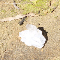 Clear Quartz Cluster 2