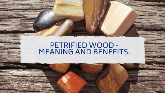 Petrified Wood meaning